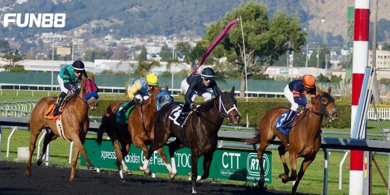 Cá cược đua ngựa Fun88 là sân chơi với rất nhiều kèo cược thú vị.